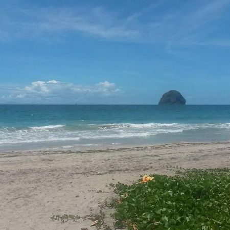 Charmant Et Spacieux Studio A 50M De La Plage Le Diamant Exteriör bild