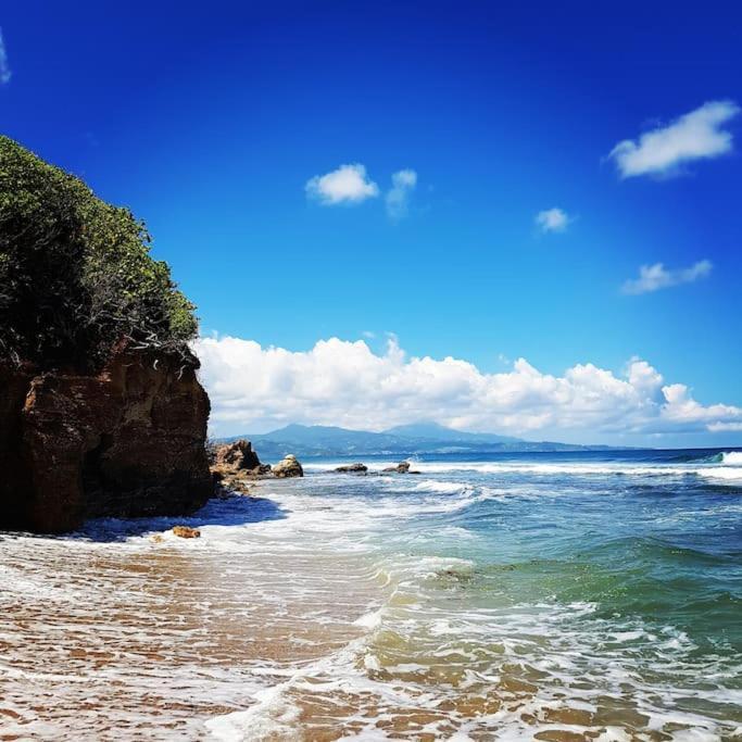 Charmant Et Spacieux Studio A 50M De La Plage Le Diamant Exteriör bild