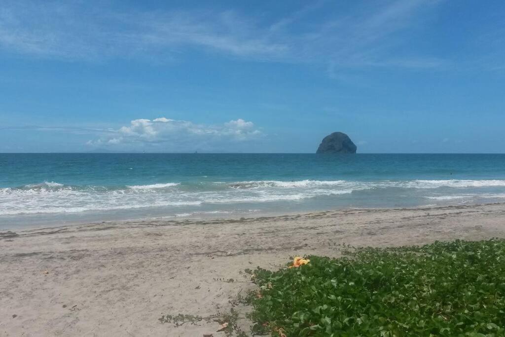 Charmant Et Spacieux Studio A 50M De La Plage Le Diamant Exteriör bild